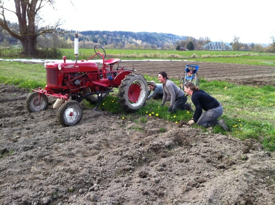 Marisa, Rita, and Leah learning about cultivating with our vintage Farmall Cub.